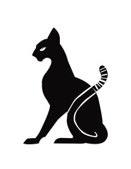 black cat on white background