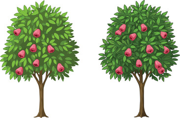 Obraz premium Red apple fruit trees illustration comparing fruit count and canopy density for botanical, nature, garden, agriculture, and educational design