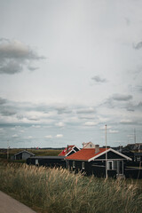 Charming coastal houses stand among tall grass under a cloudy sky in an idyllic seaside location
