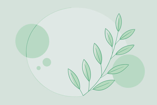 Minimalist botanical design with a leafy branch and circles on a light green background, creating a fresh and natural aesthetic