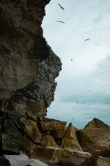 Rocky shoreline with a cloudy sky and seabirds flying overhead near the ocean