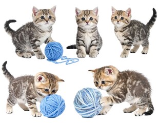 Four kittens playing with yarn balls