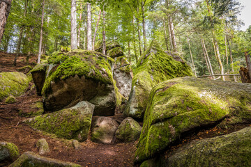 Megalith Steine im H&ouml;llbachtal im Naturschutzgebiet bei dem Rundwanderweg in Rettenbach bei Falkenstein in Bayern, Deutschland