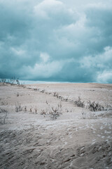 Calm desert landscape under cloudy sky with sparse vegetation and sandy terrain