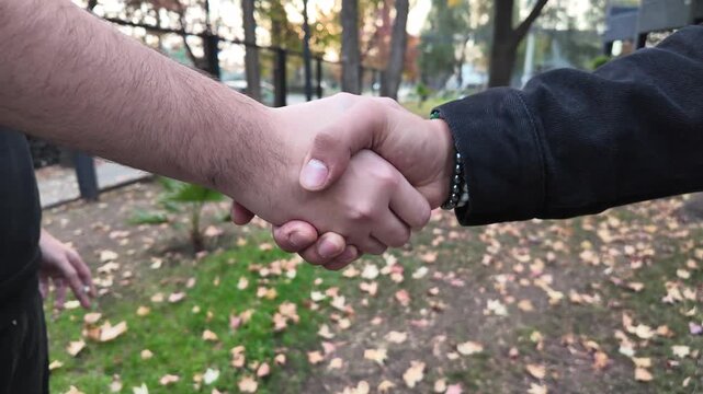 Handshake Outdoors in Park during Autumn
