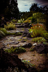 Natural pathway through a scenic garden in Denmark showcasing lush greenery and rocky terrain