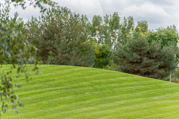 A gentle grassy slope stretches under cloudy skies. The neat lawn lines lead toward tall trees.