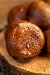 a hard edible chestnut fruit in a brown shell covered with water droplets on a wooden table, a group of wet and fresh chestnut fruits with a hard shell
