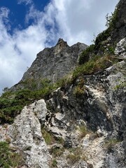 View from Via Ferrata Astragalus, Sugau Gorges, Suhard Mountain, Romania