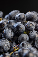 a branch of ripe beautiful blue grapes lying on the table covered with drops of water, wet fruits of blue grapes on a branch on the table during cooking