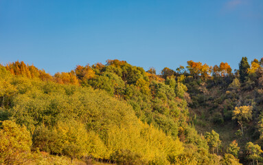 Fototapeta premium autumn landscape in the mountains