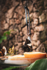 Butterflies gathering on orange slices in a Danish garden during a bright sunny day