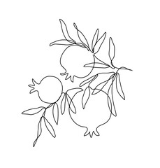 Branch with pomegranates and leaves. Shana Tova. Modern single line art drawing. Continuous line drawing. Vector illustration.