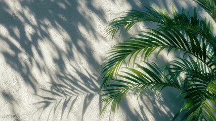 A playful dance of sunlight and shadows is showcased as palm leaves cast intricate patterns against a smooth wall. This bright outdoor scene radiates a calm, tropical vibe - Powered by Adobe