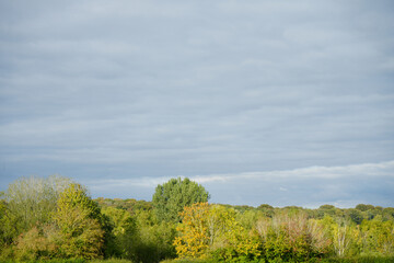 Autumn Trees and Cloudy Sky at Clumber Park, Nottinghamshire, England: A Serene Countryside Landscape
