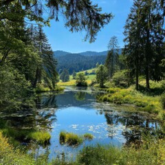 Tranquil lake nestled in a lush forest valley under a vibrant blue sky