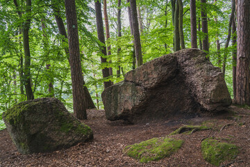 "Devil's Stone" in the Valley of Joy in Oliwa, Gdansk, Poland.