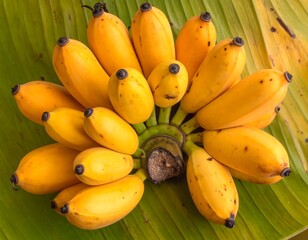 Bunch of yellow bananas on a banana leaf
