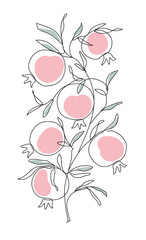 Branch with pomegranates and leaves. Shana Tova. Modern single line art drawing. Continuous line drawing. Outline draw design color vector illustration