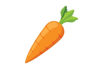 Orange carrot with green leaves stands upright against the bright, plain, white background