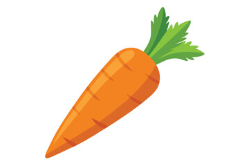 Single orange carrot with vibrant green leaves resting against a clean white background