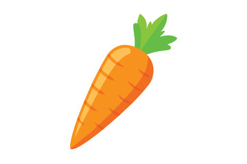 One vibrant orange carrot with green leaves sits diagonally on a white background