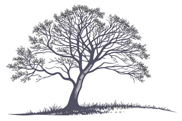 Detailed Hand-Drawn Bald Eagle and Tree Illustration