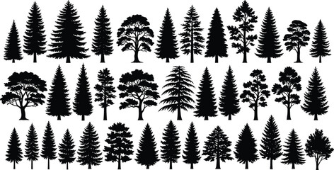 Tree silhouettes, black trees, diverse foliage, coniferous and deciduous, botanical shapes, nature icons, forest elements, white background, landscape design, illustration set © Md Shahedul