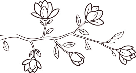 Black and white line drawing of magnolia flowers on a branch leaves © Mehedy