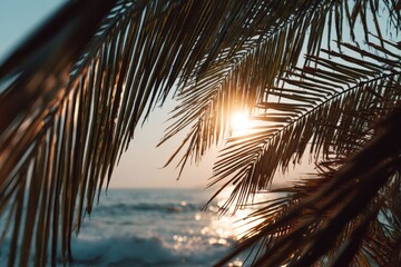 Fototapeta premium Palm fronds frame sunset over ocean