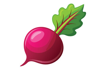 Shiny pink beetroot with a vibrant green leaf is isolated against white