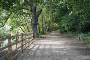 Scenic Walking Trail at Clumber Park, Nottinghamshire, England: A Peaceful Countryside Path