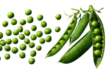 Fresh organic green peas spilling from an open pod on a white background