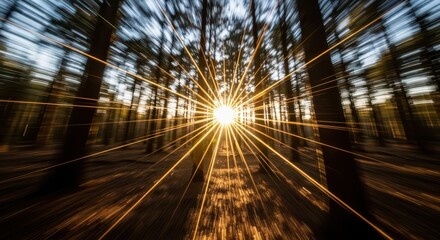 Golden Forest Rays Sun Light Through Trees
