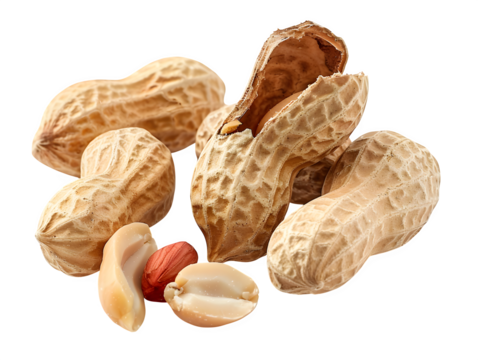 Professional studio image of close-up view of several peanuts isolated on , arranged diagonally with one shell cracked open to reveal smooth kern Isolated to Transparent Background