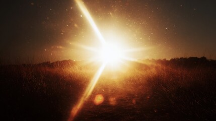 Sunrise through golden field, sunbeams