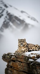 Majestic Snow Leopard Perched on Rocky Mountain Peak in Snowy Wilderness