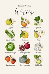 Vector poster with colorful hand drawn illustrations of seasonal winter produce: apple, mandarin, spinach, celery stalks, lemon, pear, white cabbage, pomegranate, garlic, persimmon, gray pumpkin