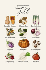 Vector poster with hand drawn illustrations of seasonal fall produce: pumpkin, apple, pear, grapes cabbage. Perfect for kitchen wall art, autumn harvest decor, farmers market posters