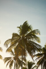 Obraz premium Golden Hour Sunset at Pontal Beach, Itacaré, Bahia, Brazil – Tropical Coastal Landscape Photography