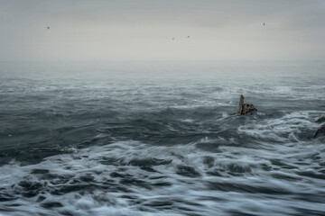 Moody Irish coast with solitary rock, silky waves, foamy surf, misty horizon, and small seabirds, long exposure seascape. © Vitaliy