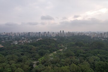 Skyline view of Sao Paulo revealing urban development and green spaces