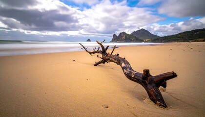 Driftwood on a golden beach under dramatic sky