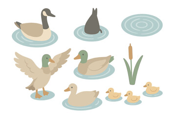 Waterfowl Pond Scene. Isometric vector illustration set waterfowl pond swim dive: goose paddling water, diving bird silhouette,