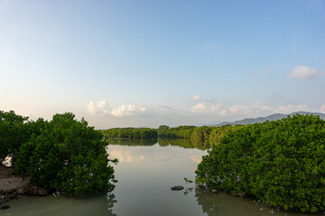 Fototapeta premium Laguna de las Garzas or Herons Lagoon in manzanillo, colima, mexico.