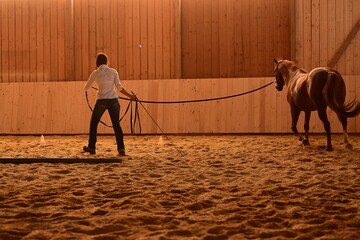 Freu in Jeans und weißer Bluse arbeitet mit einem Pferd vom Boden aus in einer Reithalle