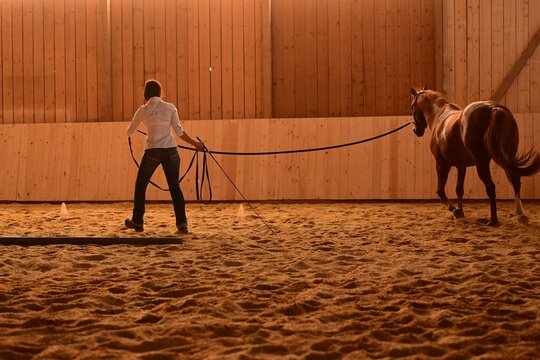Freu in Jeans und wei&szlig;er Bluse arbeitet mit einem Pferd vom Boden aus in einer Reithalle