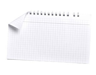 A blank sheet of checkered paper, a real journal sticker mockup on a white background.