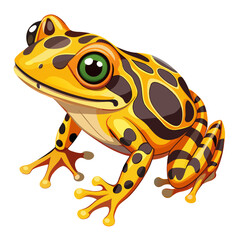 Find yellow frog illustration vector image amphibian cartoon wildlife animal nature drawing design art