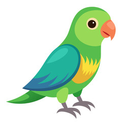 Illustration of a cute green parrot pet bird for avian animal lovers and bird watching enthusiasts